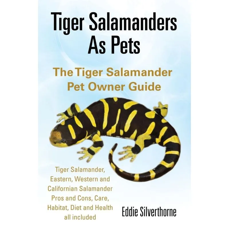 Tiger Salamanders As Pets