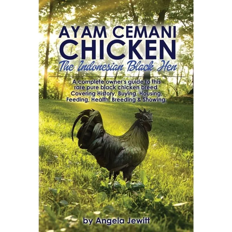 Ayam Cemani Chicken - The Indonesian Black Hen. A complete owners guide to this rare pure black chic