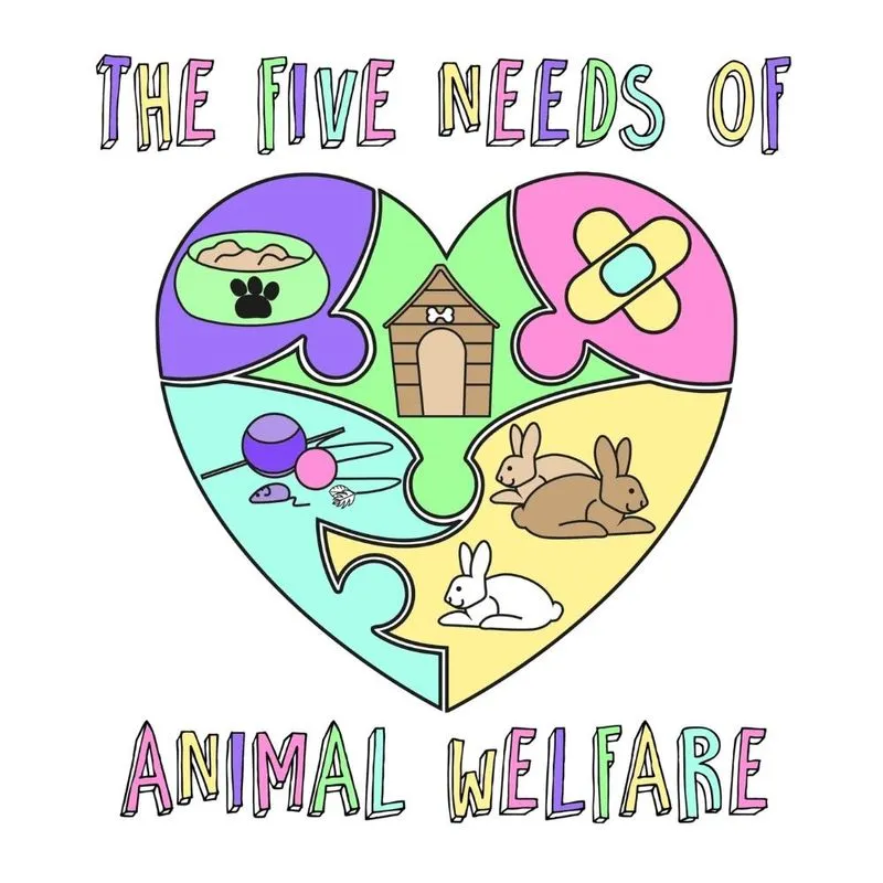 The Five Needs Of Animal Welfare