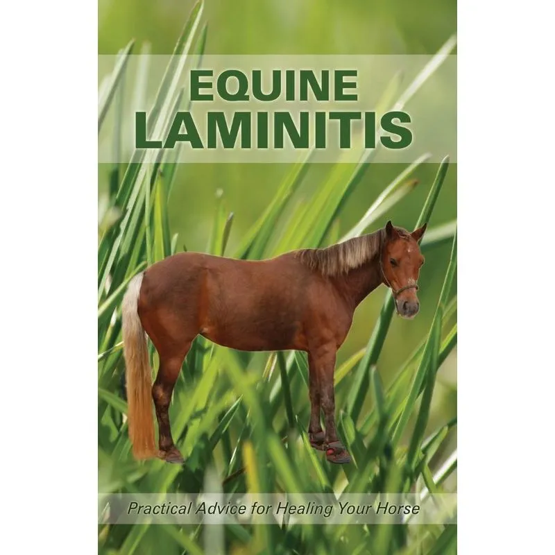 Equine Laminitis