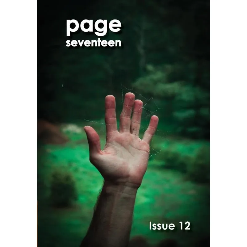 page seventeen