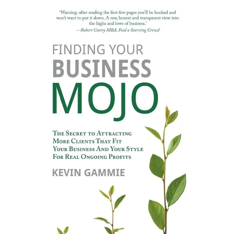 Finding Your Business Mojo