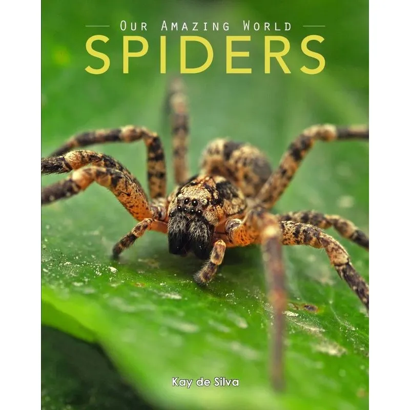 Spiders