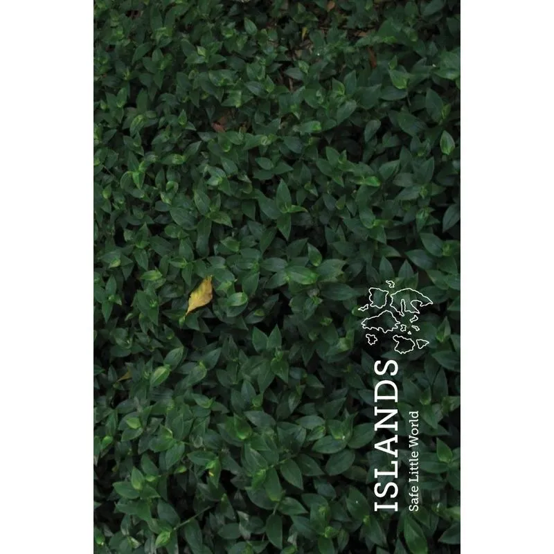 Islands (Special Edition)