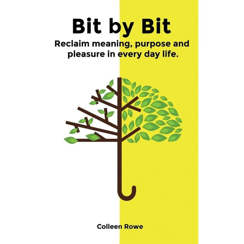 Bit by Bit
