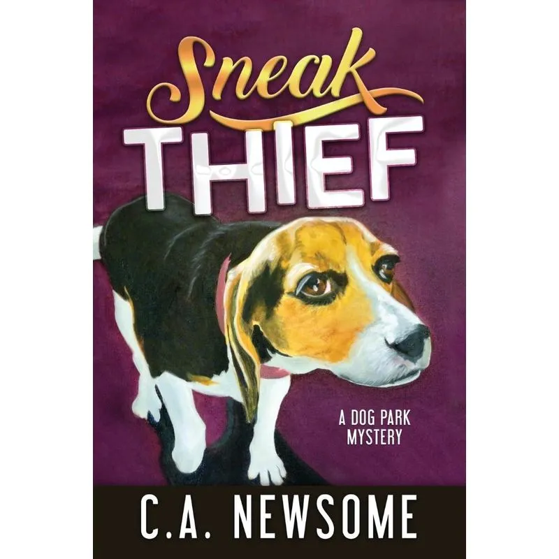 Sneak Thief