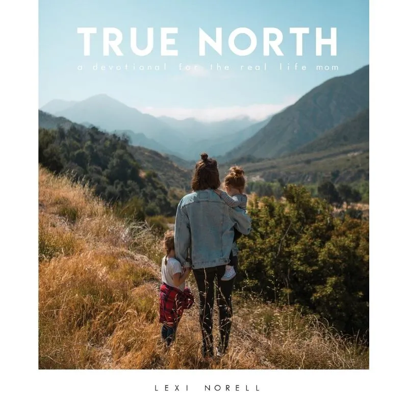True North