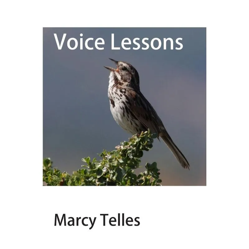 Voice Lessons