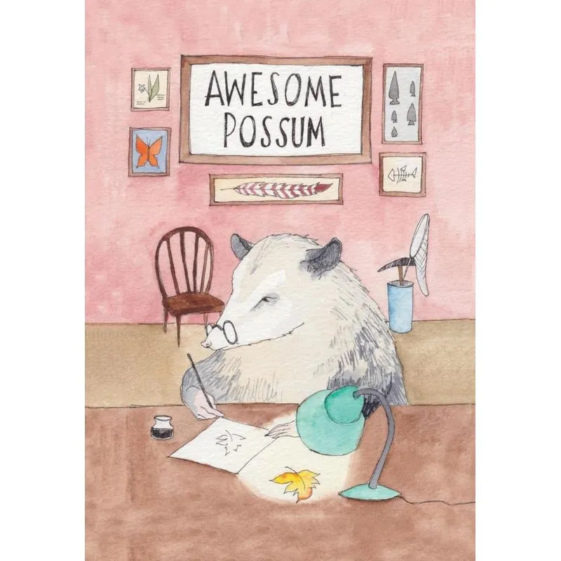 Awesome Possum, Volume 1