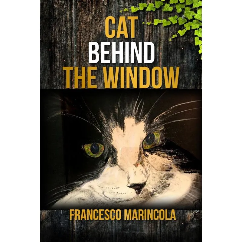 Cat Behind the Window