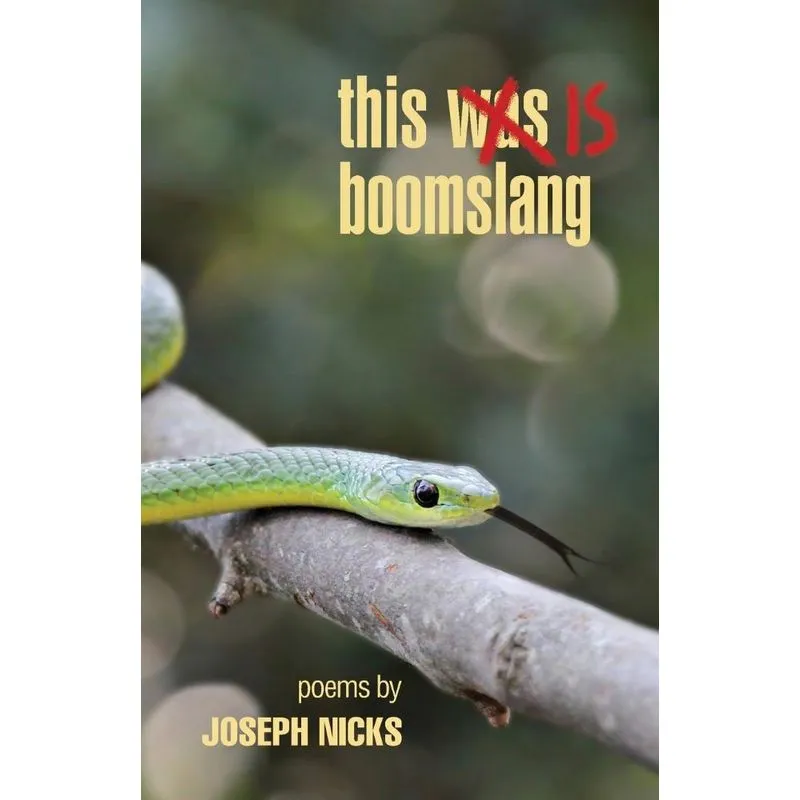This Is Boomslang