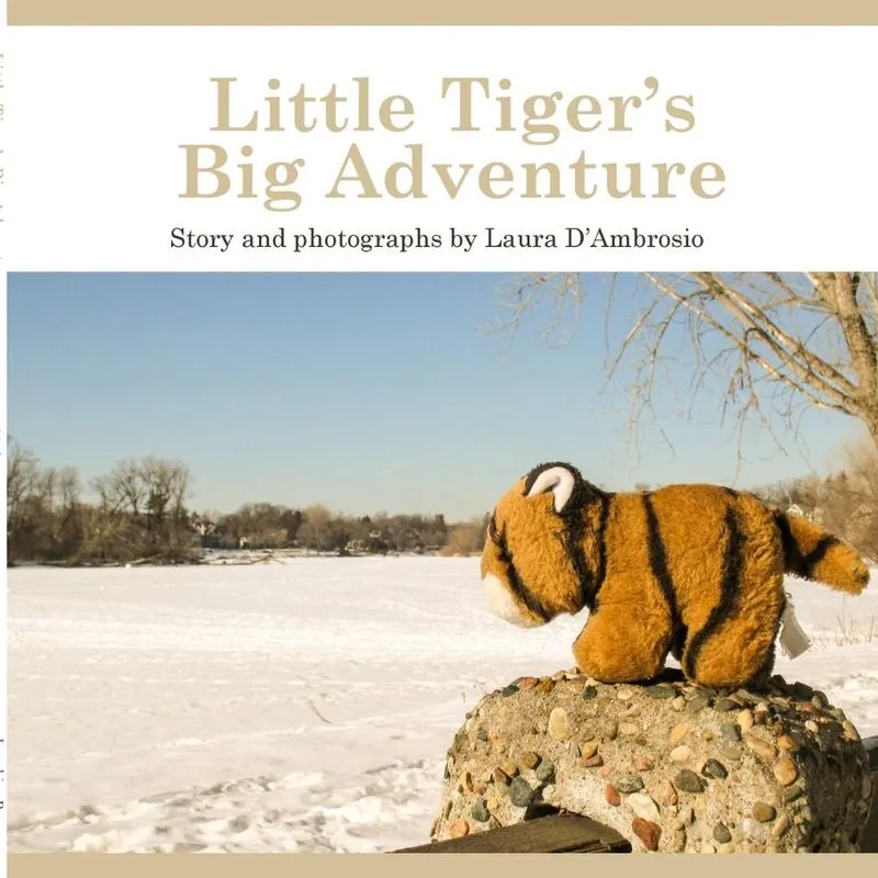 Little Tigers Big Adventure