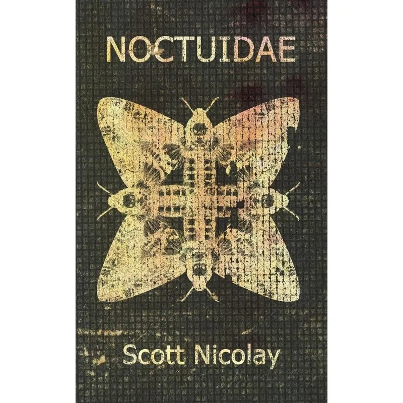 Noctuidae