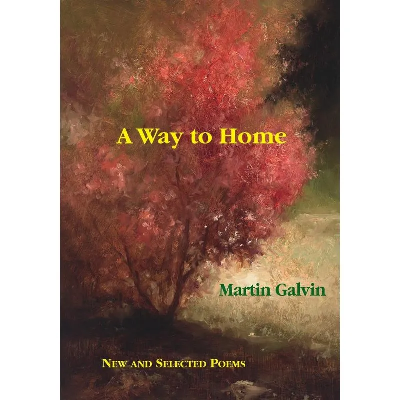 A Way to Home