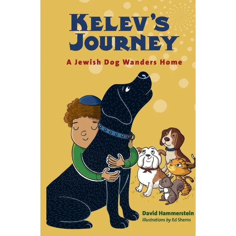 Kelevs Journey