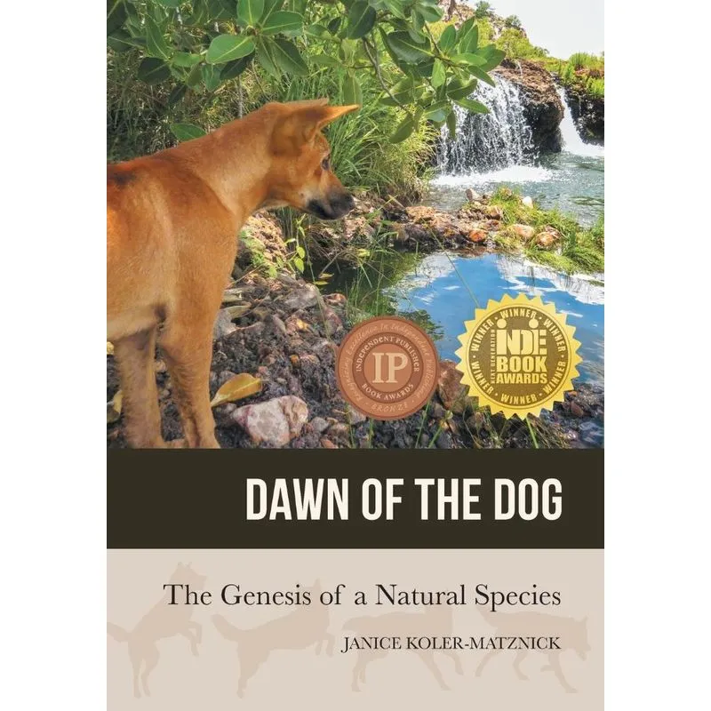 Dawn Of The Dog