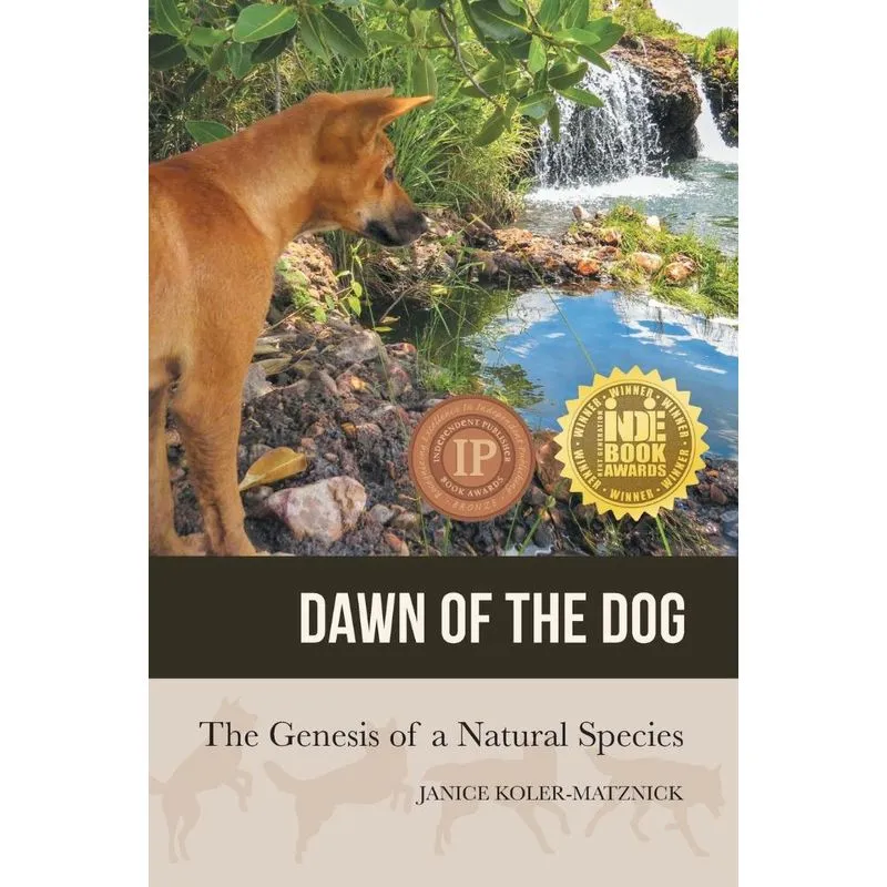 Dawn Of The Dog