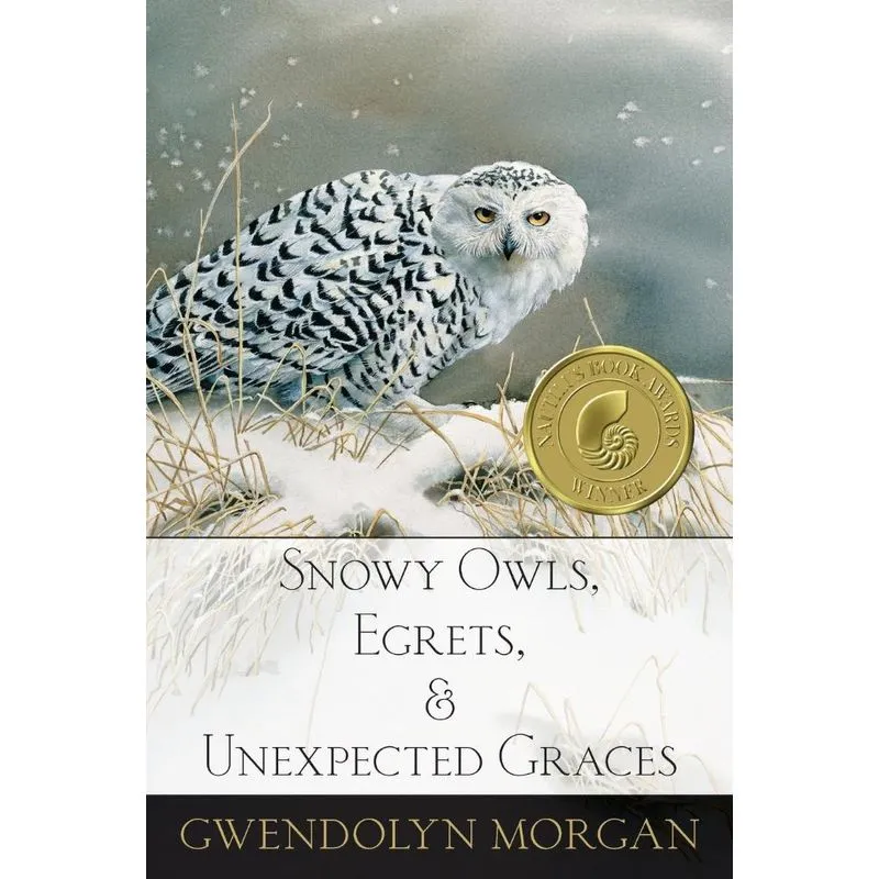 Snowy Owls, Egrets, and Unexpected Graces
