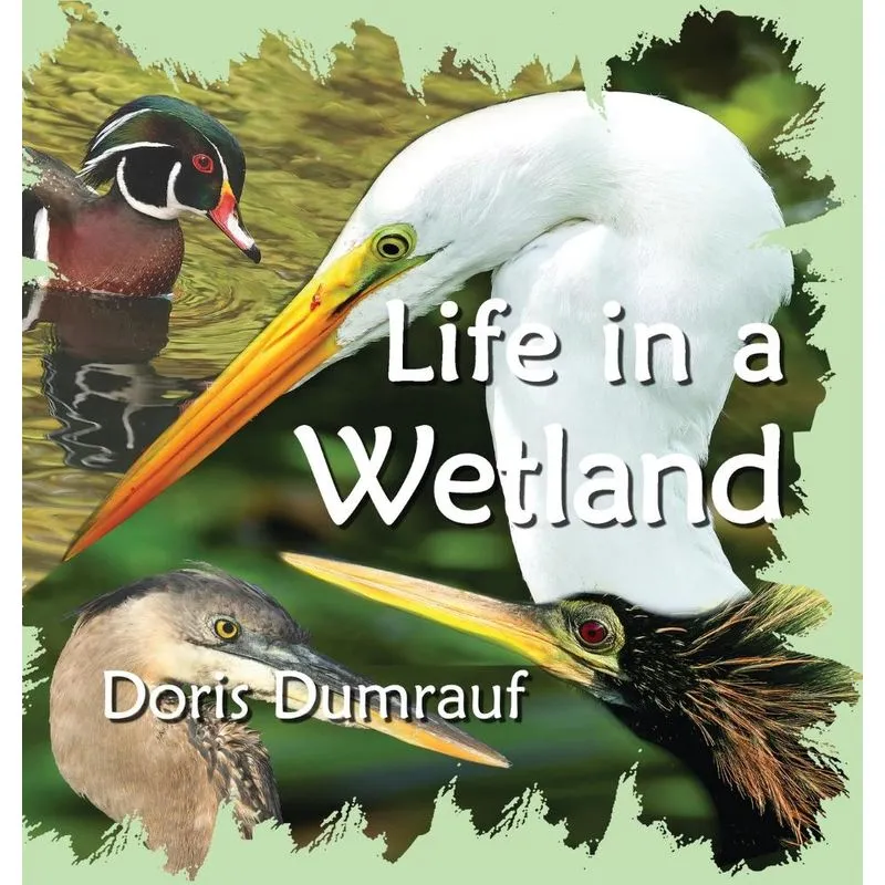 Life In A Wetland