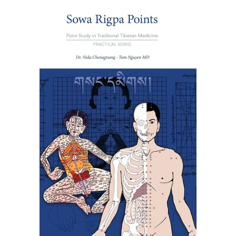 Sowa Rigpa Points