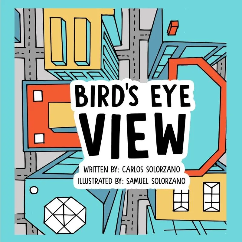 Birds Eye View