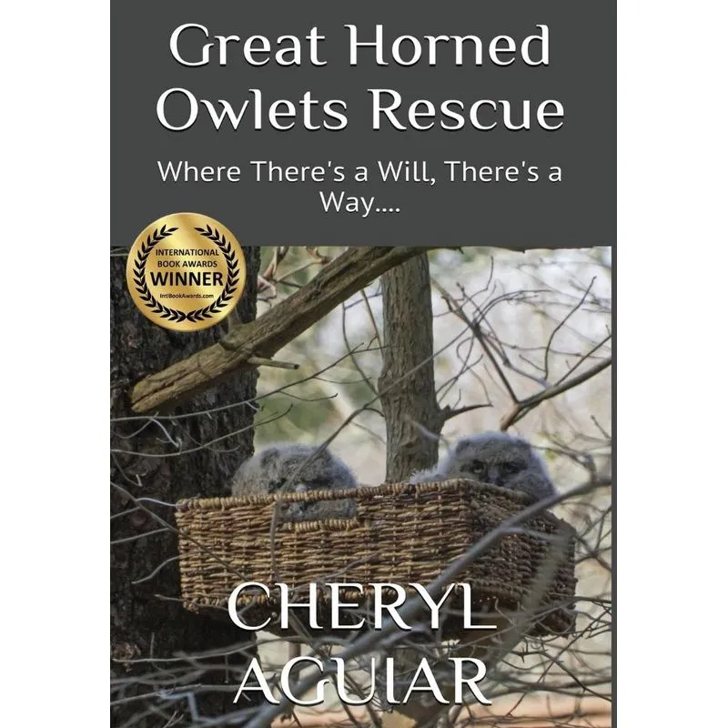 Great Horned Owlets Rescue
