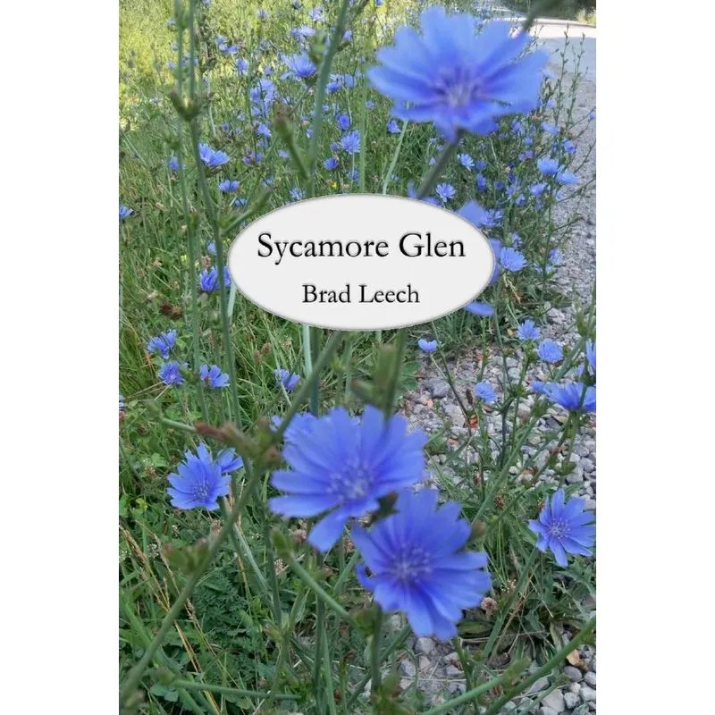 Sycamore Glen