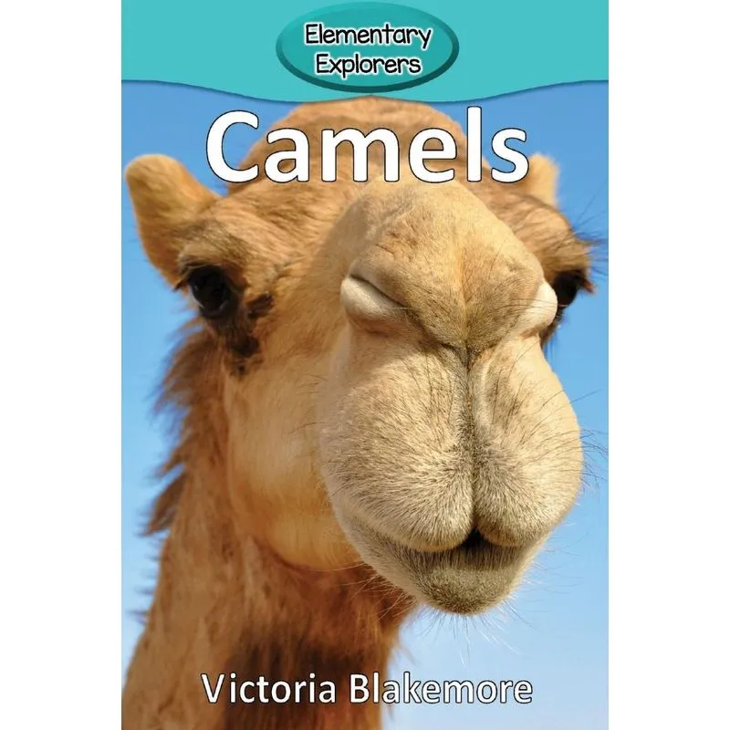 Camels