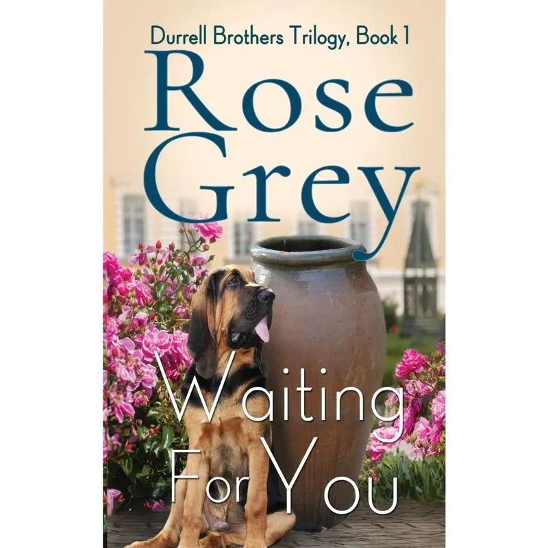 Livro Waiting For You