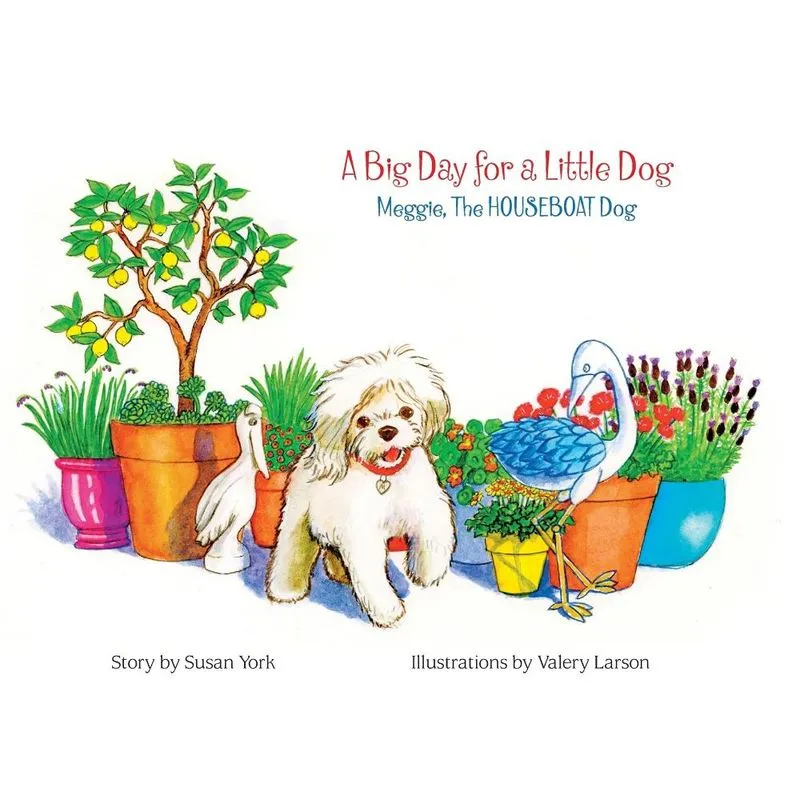 A Big Day for a Little Dog