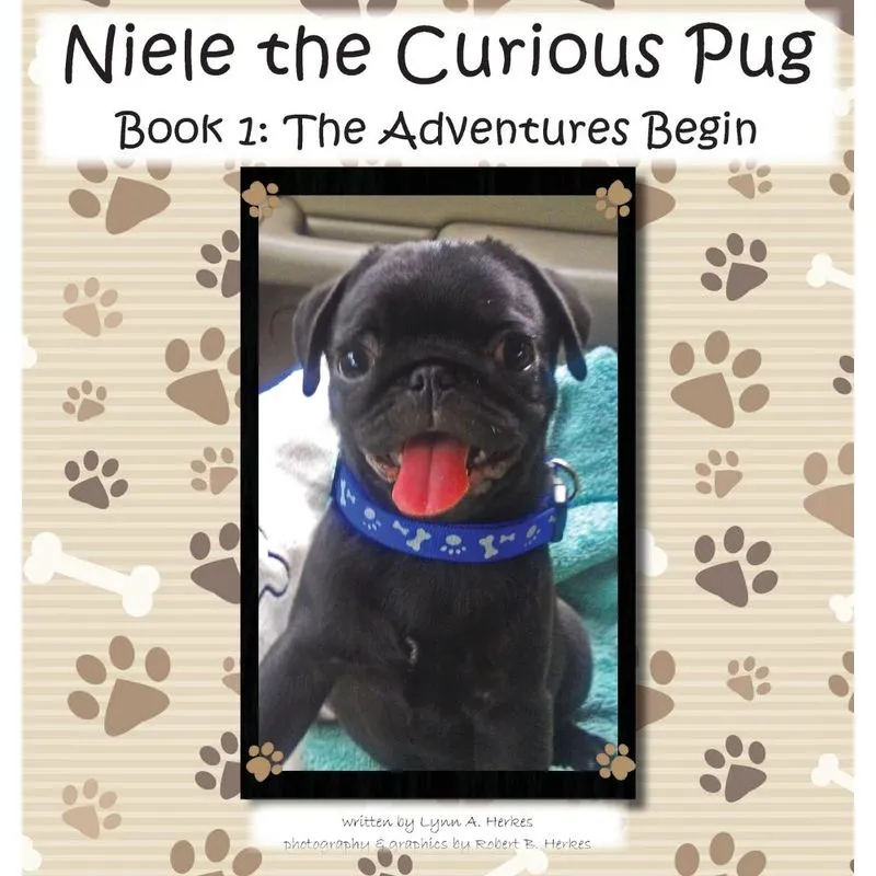 Niele the Curious Pug
