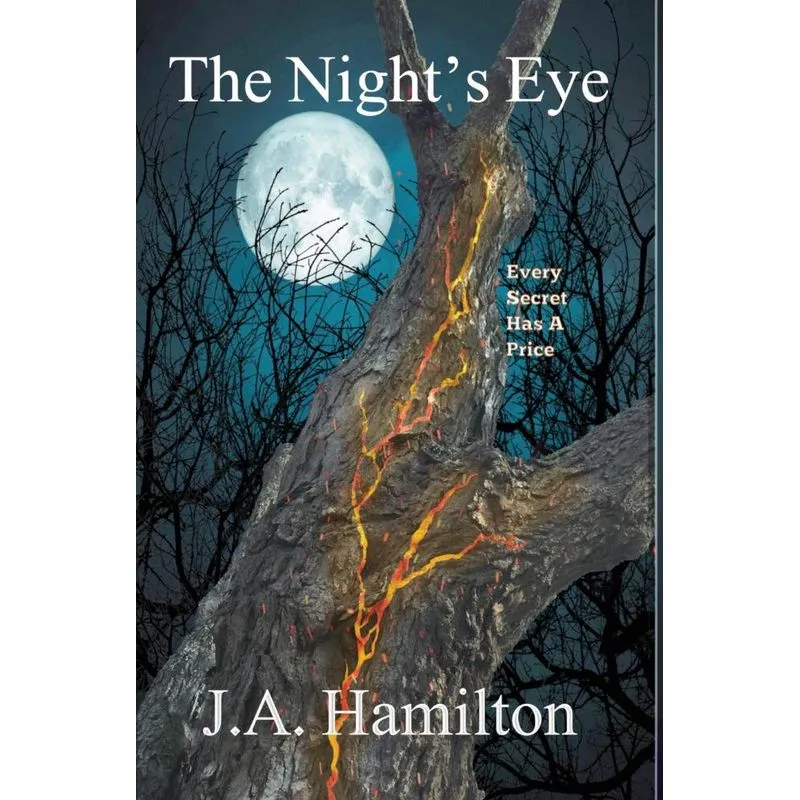 The Nights Eye