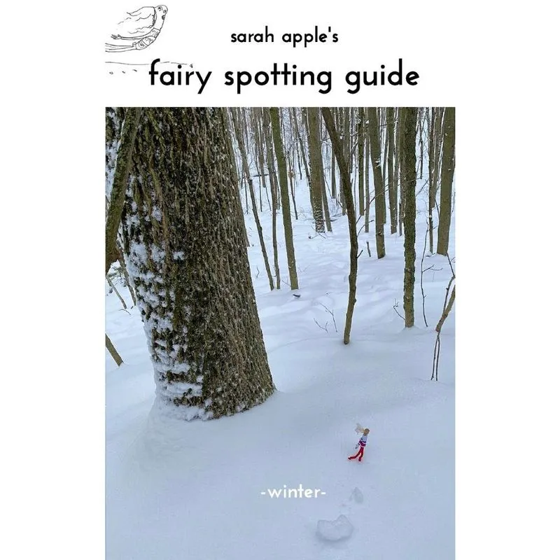 Sarah Apple Winter Fairy Spotting Guide
