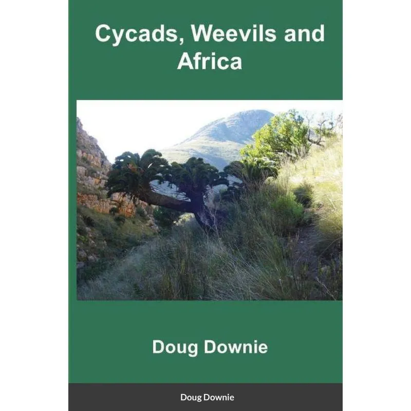 Cycads, Weevils, and Africa