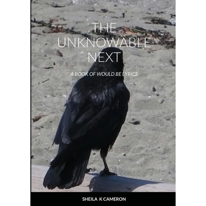 The Unknowable Next