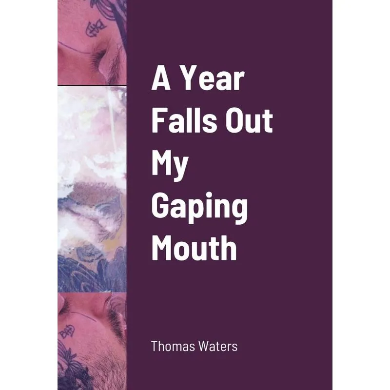 A Year Falls Out My Gaping Mouth
