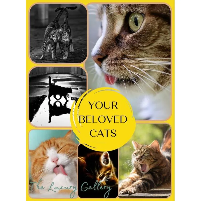 YOUR BELOVED CATS
