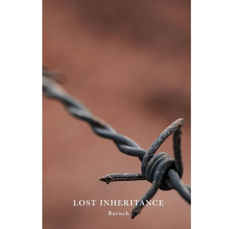 Lost Inheritance