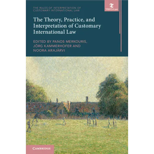 The Theory, Practice, and Interpretation of Customary International Law - Paperback
