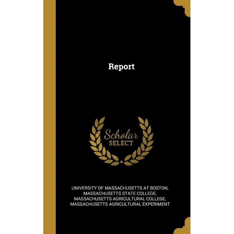 Report