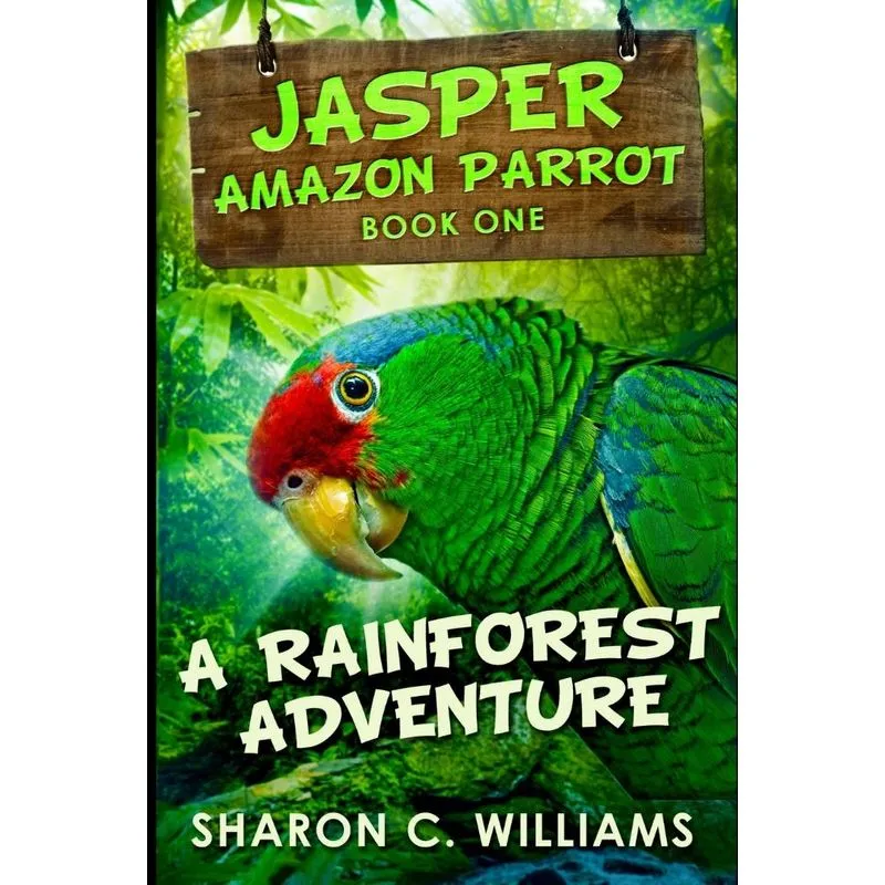 A Rainforest Adventure