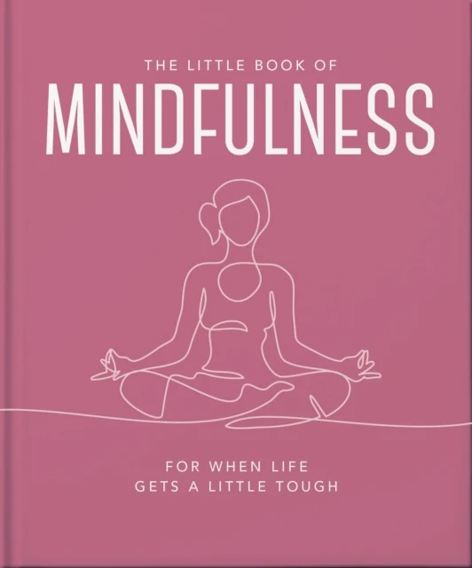 Little Book of Mindfulness, The