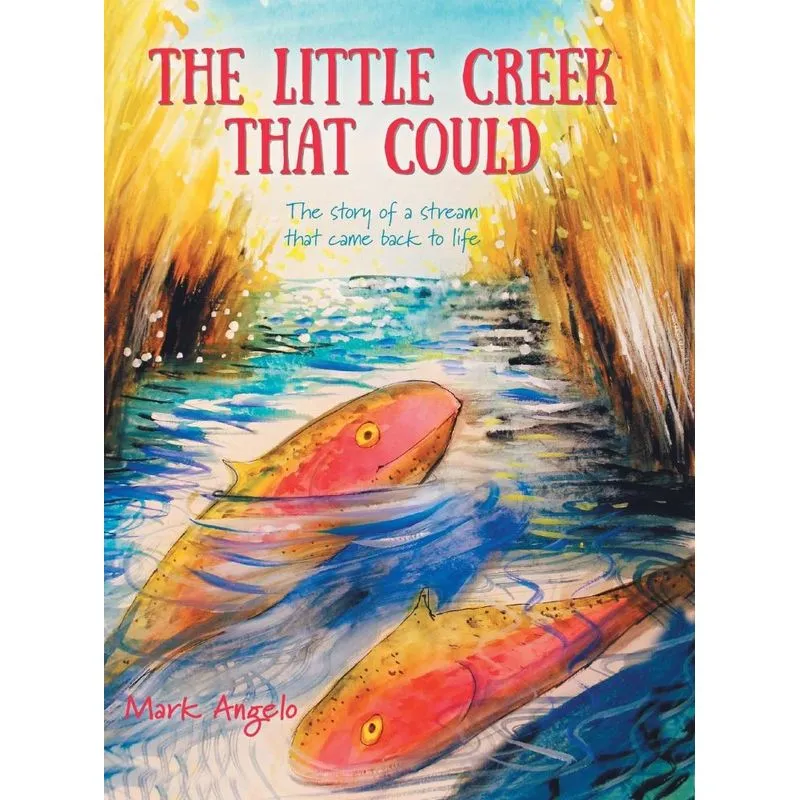 The Little Creek That Could