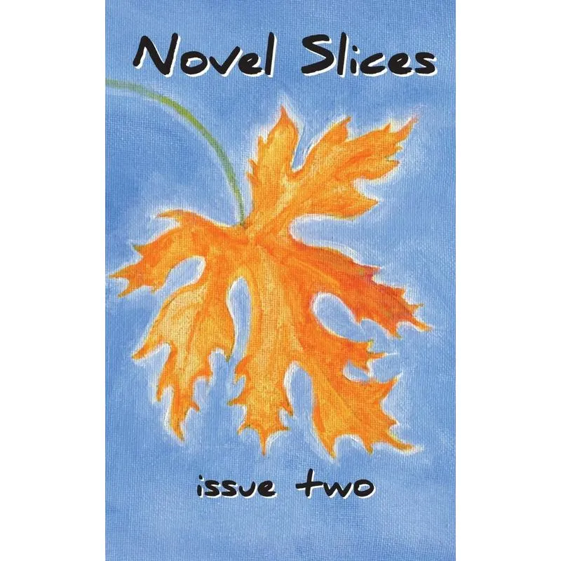 Novel Slices Issue 2