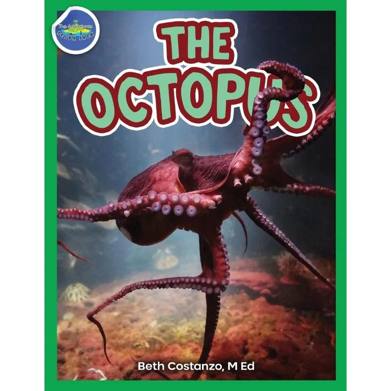 The Octopus ages 2-4