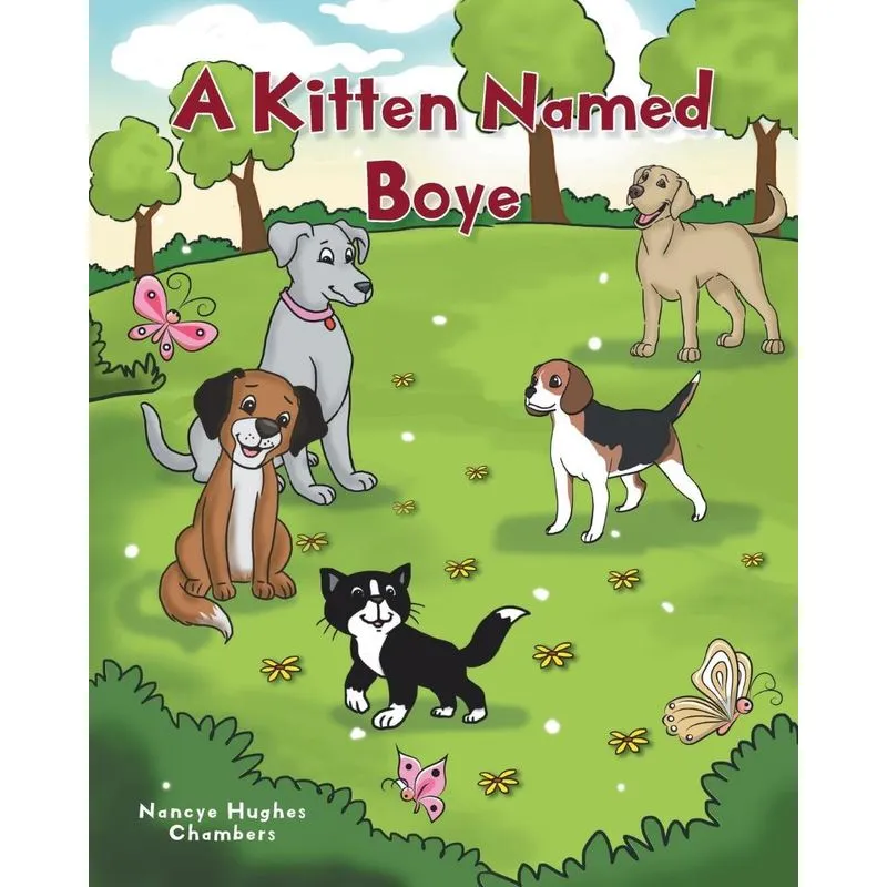 A Kitten Named Boye
