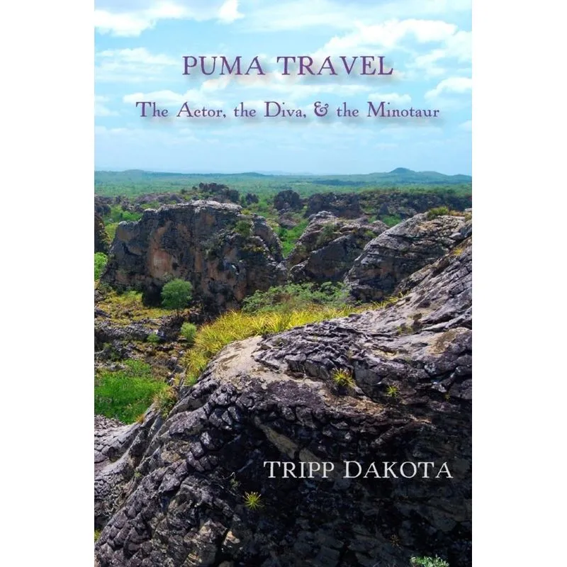 Puma Travel