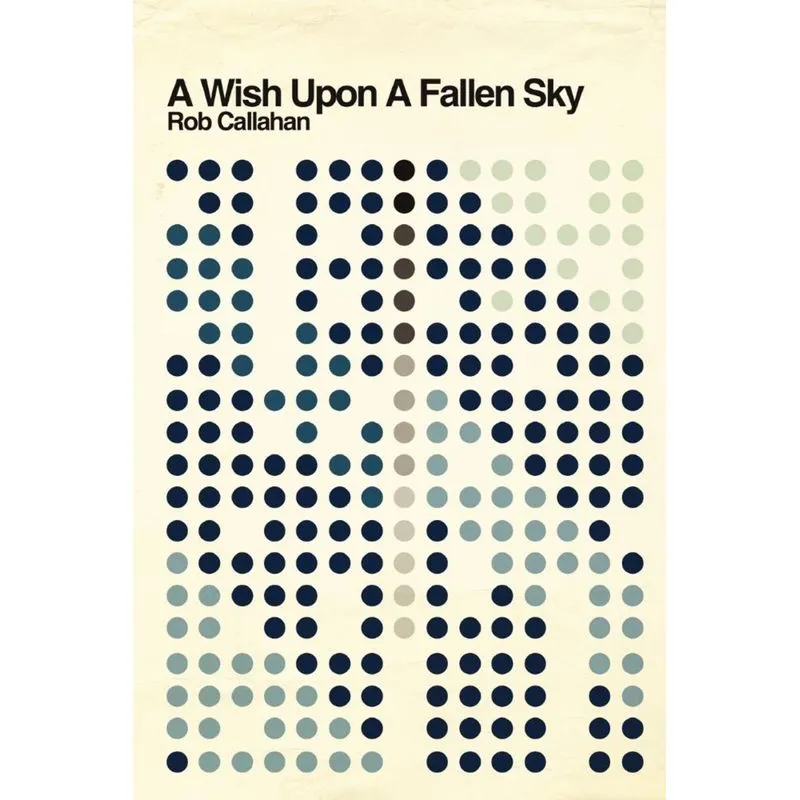 A Wish Upon a Fallen Sky