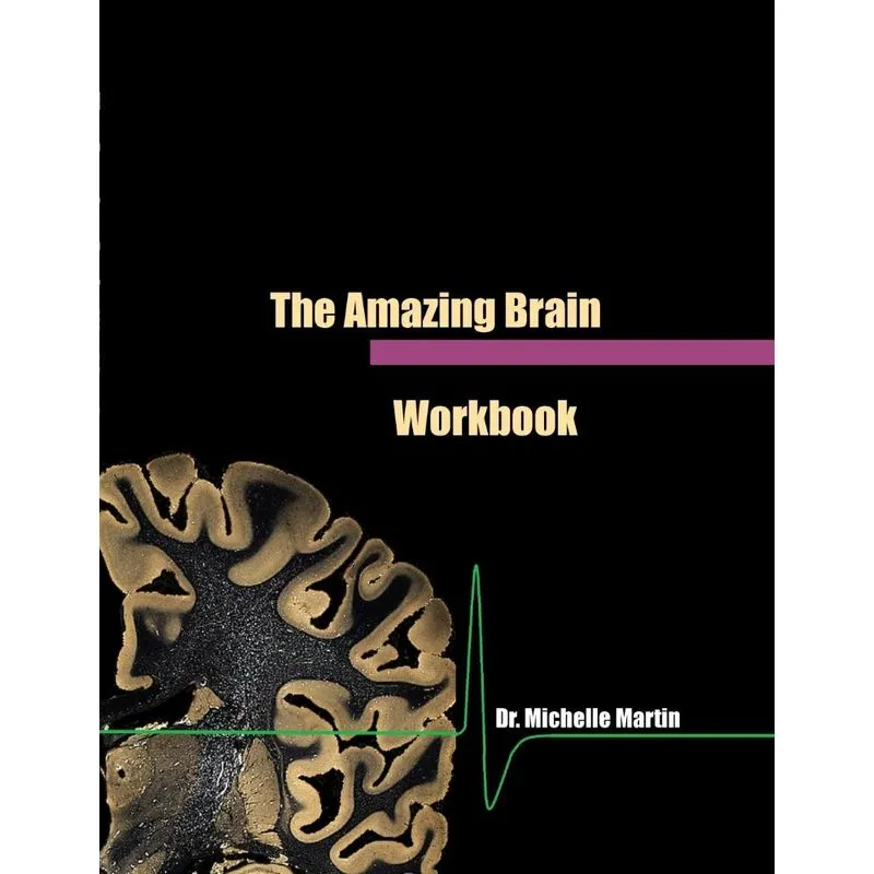 The Amazing Brain Workbook