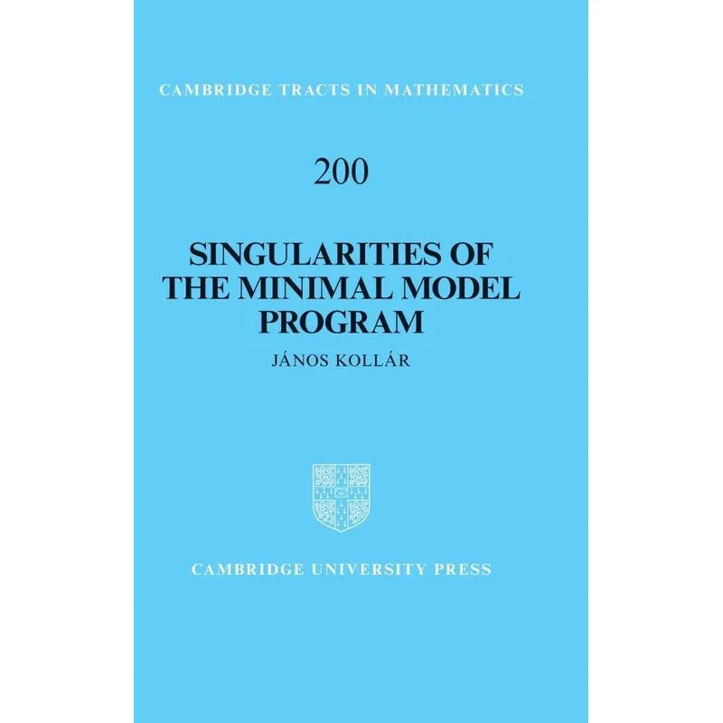 Singularities Of The Minimal Model Program